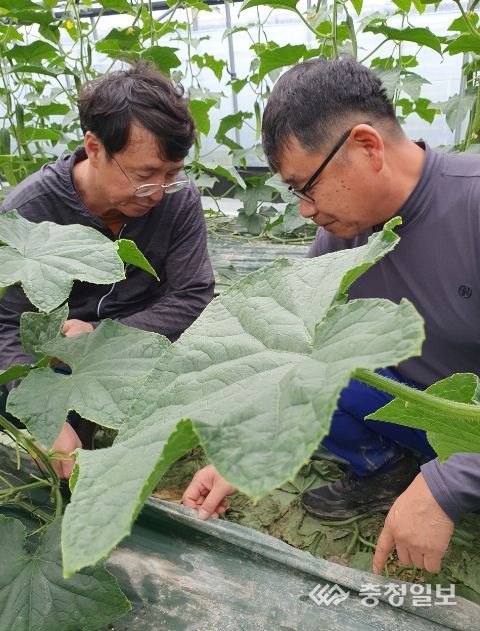 귀농귀촌 신규농업인 현장실습교육 추가모집