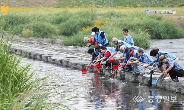 서철모 서구청장, 토종물고기 치어 방류
