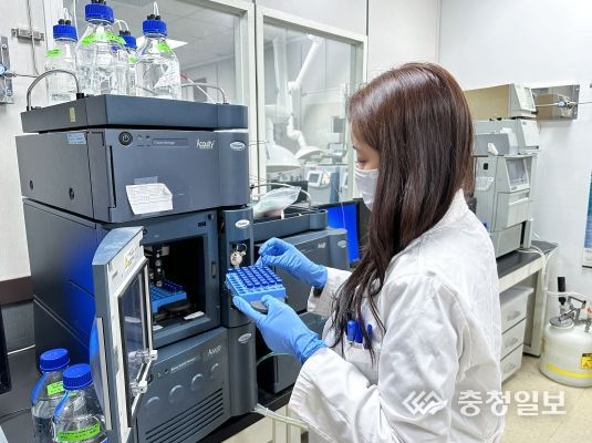 충북도, 여름철 먹거리 등 유통식품 집중검사로 식품 안전관리 강화 추진