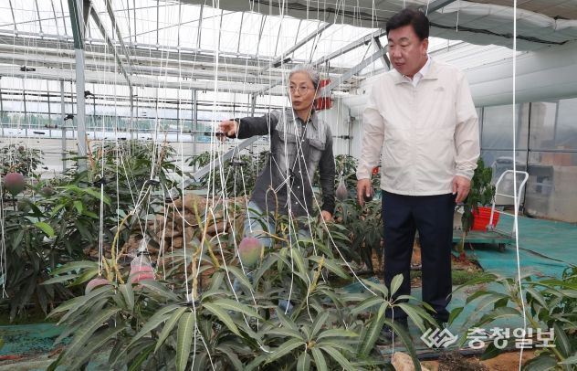 이범석 청주시장, 청주 제1호 애플망고 재배 농가 방문