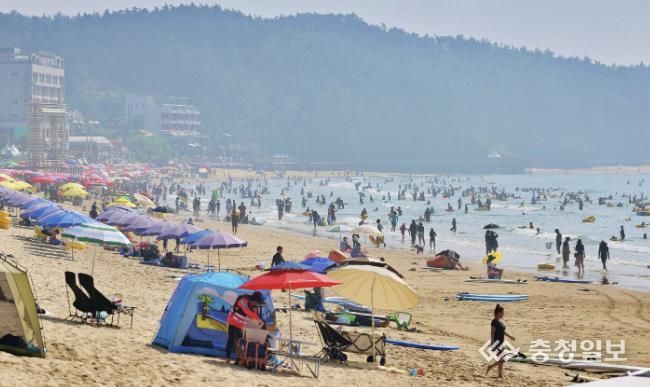 올해 태안지역 해수욕장을 찾은 피서객들 모습.