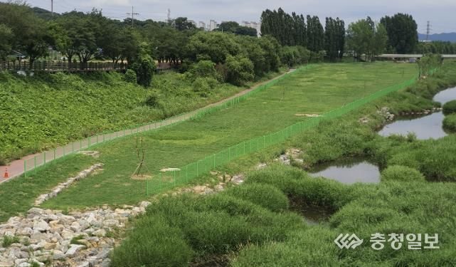제1 파크 골프장 전경