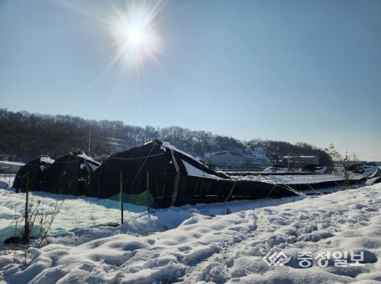 충북도, 대설로 인한 농업 재해 예비비 40억 원 긴급 지원