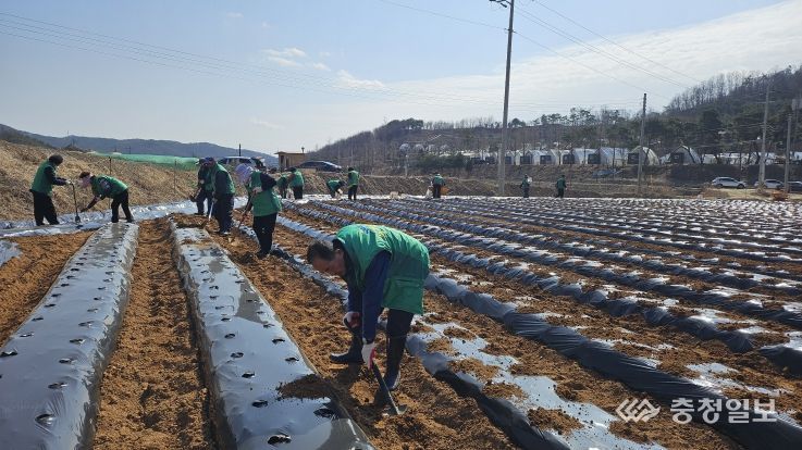 세종 전동면새마을회, 이웃사랑 심었다