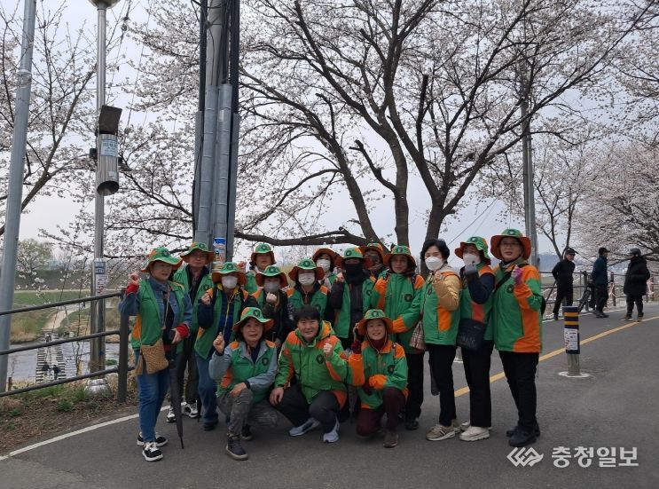 세종시 조천변 벚꽃길을 더 안전하고 쾌적하게