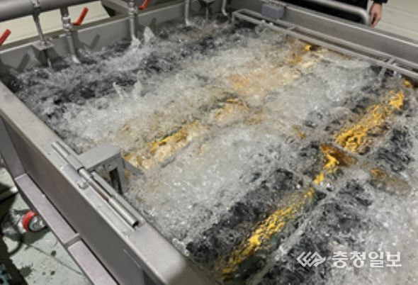 대용량 권지 세척장치