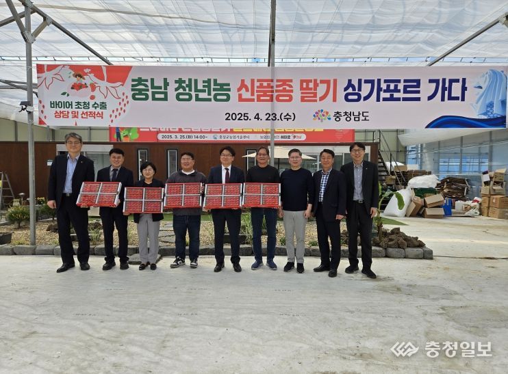 충남도, 청년농과 함께 딸기 신품종 수출시장 개척
