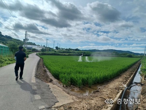 서천군, 벼 병해충 방제