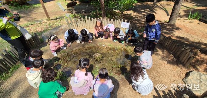 2025년 영유아학교 시범사업 본격 추진